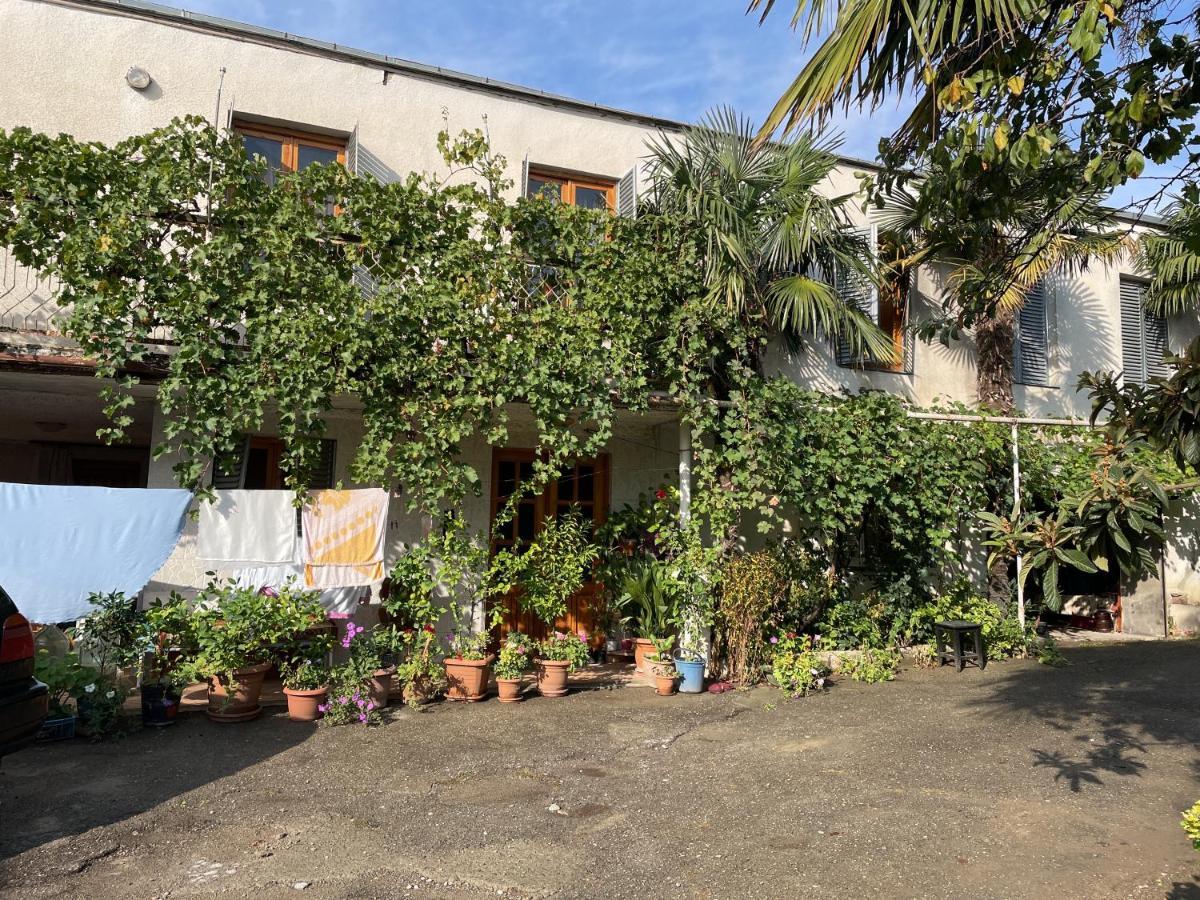Guesthouse Georgia Sagarejo Ngoại thất bức ảnh
